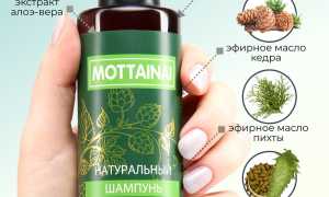 Применение масла хмеля: шампунь, экстракт и другие средства