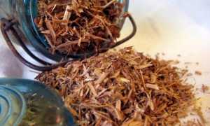 Кора белой ивы для разжижения крови и другие полезные свойства