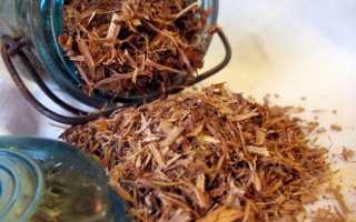 Кора белой ивы для разжижения крови и другие полезные свойства