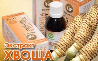 Применение экстракта хвоща