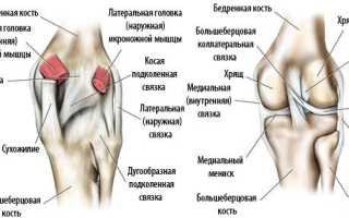 Латеральная связка коленного сустава