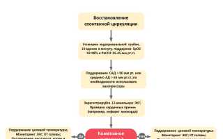 Асистолия сердца: что это такое