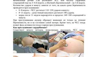 Аускультация плода