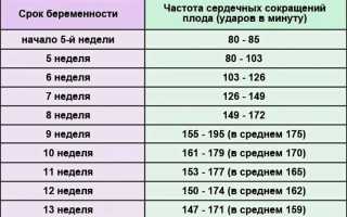 Сердцебиение плода по неделям