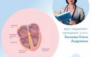 Экстрасистолия — это опасно?