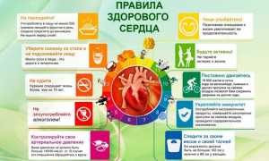 Профилактика ИБС