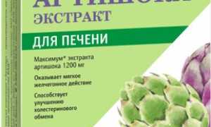 Применение экстракта артишока
