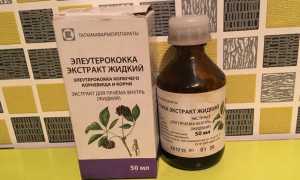 Применение экстракта элеутерококка