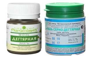Применение дегтярной мази