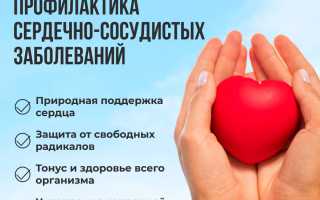 Здоровое сердце — расслабление, дайте сердцу передышку