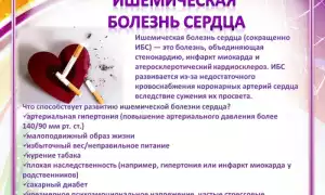 Ишемическая болезнь сердца что это такое и чем ее лечить