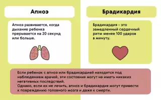 Лечение брадикардии народными средствами